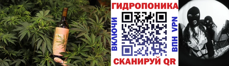 Canna-Cookies конопля  цены наркотик  Кемерово 