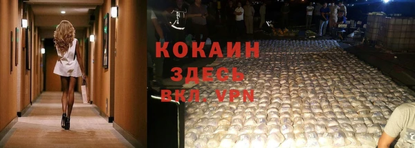 спайс Алзамай